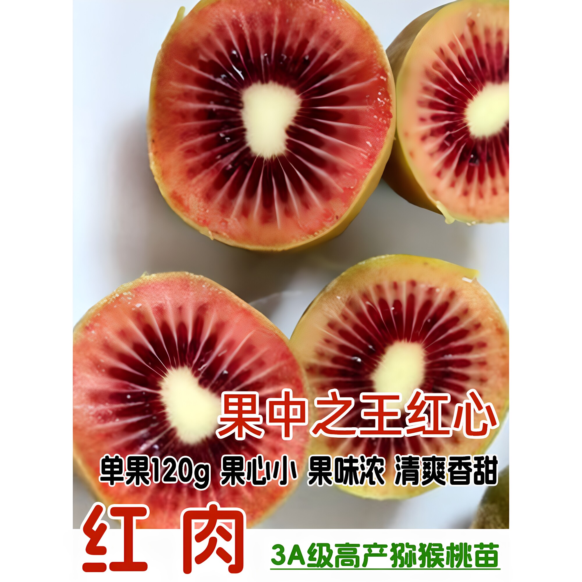 嫁接红肉猕猴桃树苗当年结果