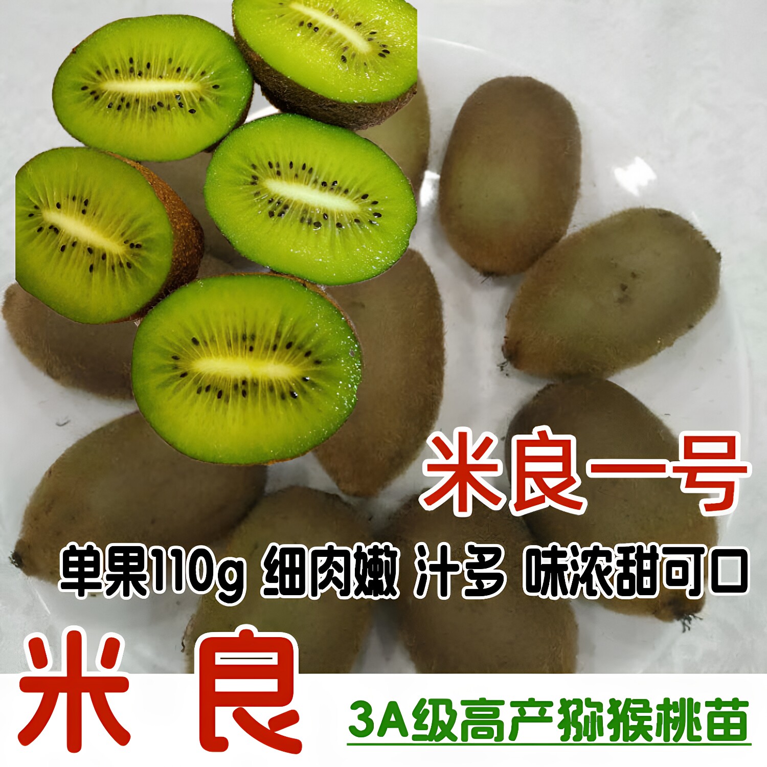 嫁接红心米良一号绿心猕猴桃苗
