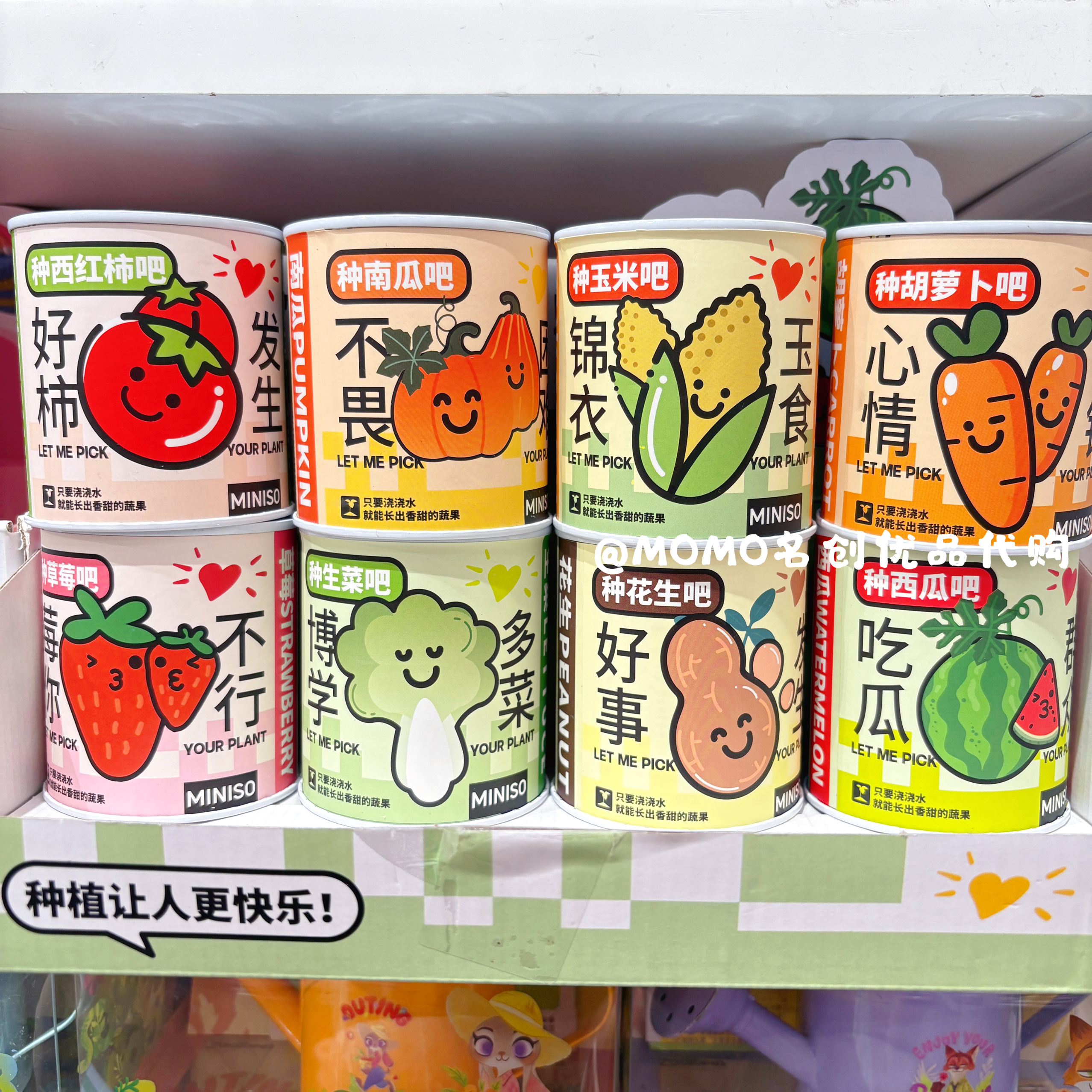 miniso名创优品易拉罐桌面绿植物花卉diy果蔬盆栽草莓向日葵种植