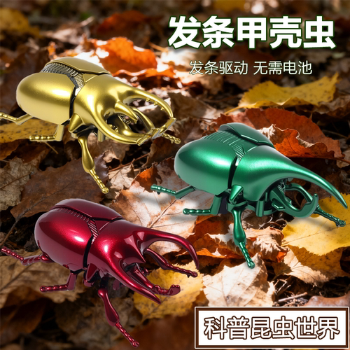 发条甲虫仿真独角仙上链爬行玩具