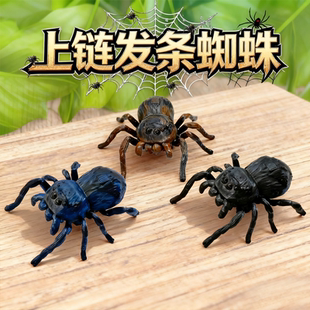 发条昆虫世界儿童爬行蜘蛛知了玩具模型仿真动物上链条甲壳虫瓢虫