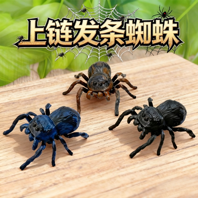 上链发条蜘蛛模型仿真动物甲壳虫