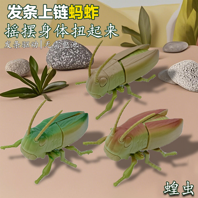 创意上链条蚂蚱儿童仿真甲壳虫男孩宝宝发条爬行昆虫玩具蝗虫模型,玩具/童车/益智/积木/模型,电动/遥控动物/人物,淘宝优惠券,粉丝福利购,淘宝优惠卷