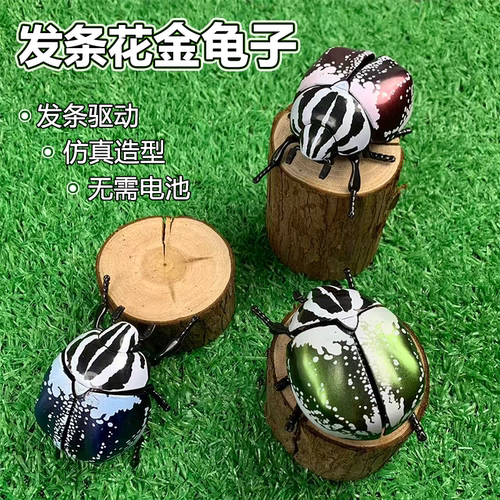 发条昆虫花金龟子上链甲虫瓢虫