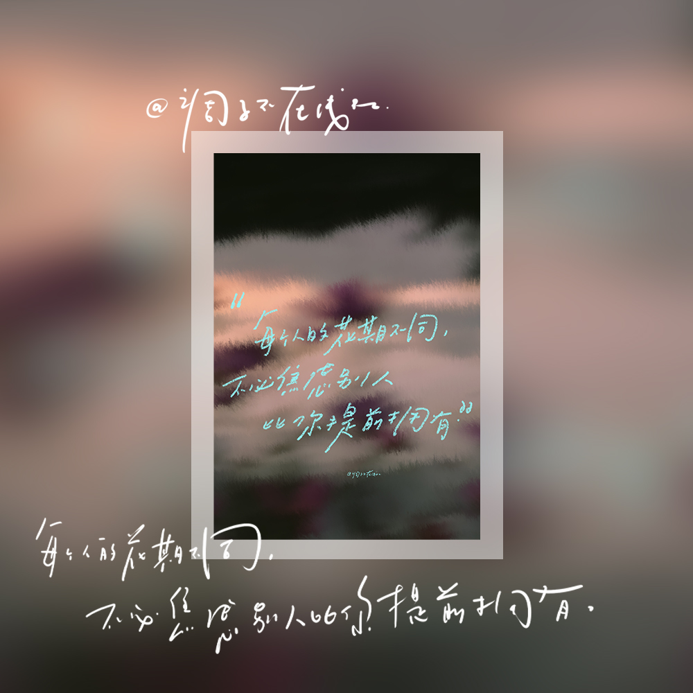 调子原创「每个人的花期不同」 明信片