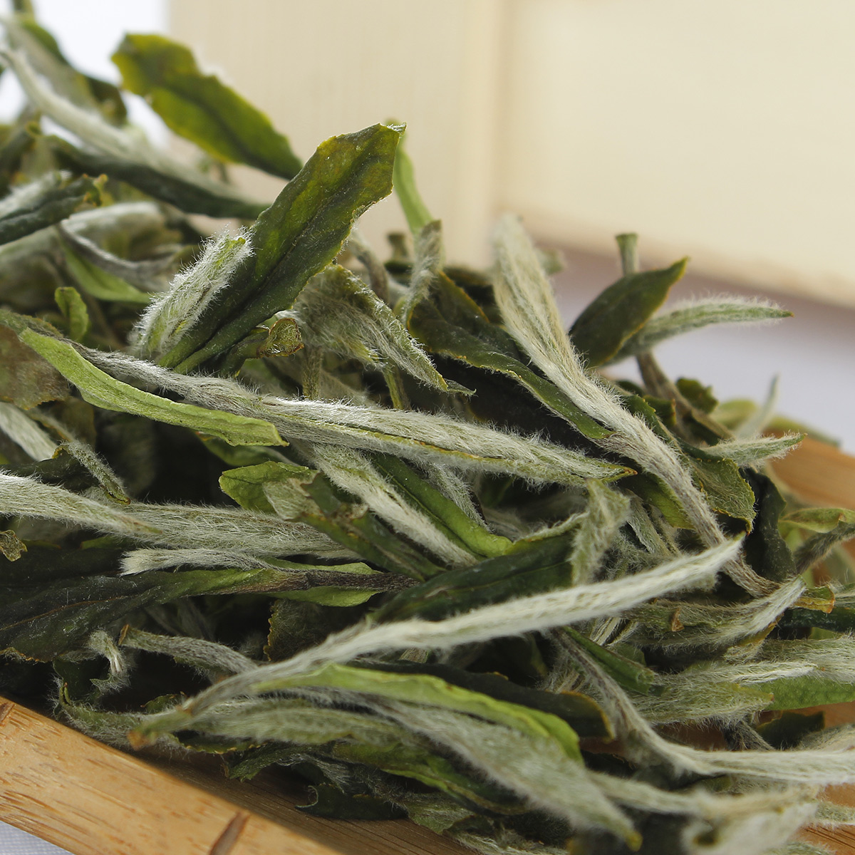 2024白茶百寿芽鲜香柔甜