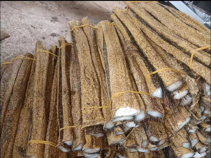 包邮云南西双版纳特产傣家油呛臭牛皮傣味餐厅原材料500g  约10根