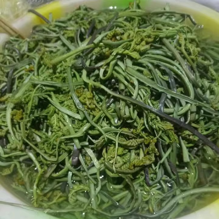 云南德宏 山货 凉拌水蕨菜节菜 酸辣爽口新鲜蕨菜制作 500g