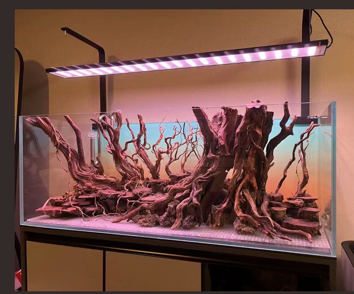 鱼缸造景骨架造景南美成品一体式图片