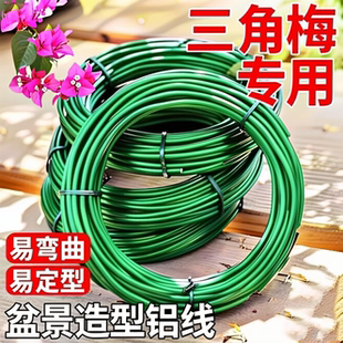 金枝玉叶专用盆景造型铝丝铝线盘扎铝丝线蟠扎园艺铁丝花卉定型