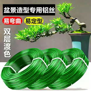 金枝玉叶专用盆景造型铝丝铝线盘扎铝丝线蟠扎园艺铁丝花卉定型