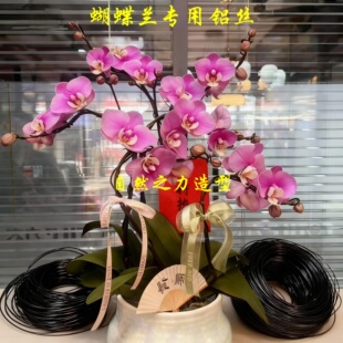 盆景造型专用铝丝铝线蟠扎园艺铁丝花卉罗汉松拉枝固定型器工具