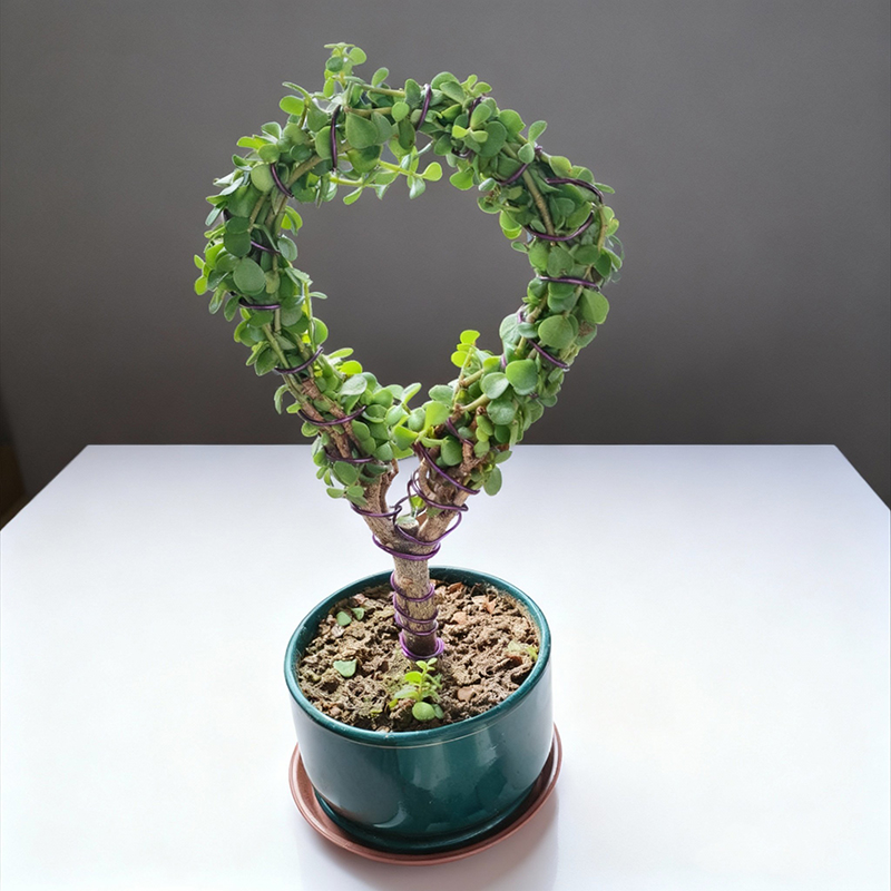 彩色铝丝线 diy园艺材料花艺铁丝造型编织创意工艺品定型骨架铝线