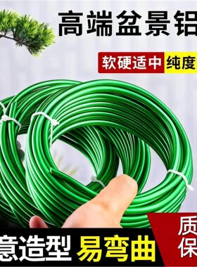 金枝玉叶专用盆景造型铝丝铝线盘扎铝丝线蟠扎园艺铁丝花卉定型