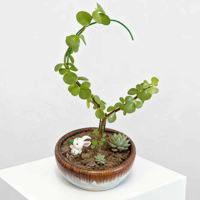 盆景造型铝线制作专用蟠扎铝丝盘扎扎丝铁丝定型丝线铝条园艺手工,鲜花速递/花卉仿真/绿植园艺,其它园艺用品,淘宝优惠券,粉丝福利购,淘宝优惠卷