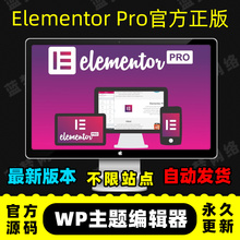 Elementor Pro插件 官方正版 WP编辑器 拖放式主题编辑器 高级版
