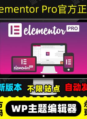 Elementor Pro插件 官方正版 WP编辑器 拖放式主题编辑器 高级版