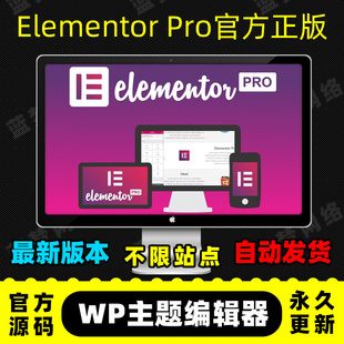 Elementor Pro插件 官方正版 WP编辑器 拖放式主题编辑器 高级版