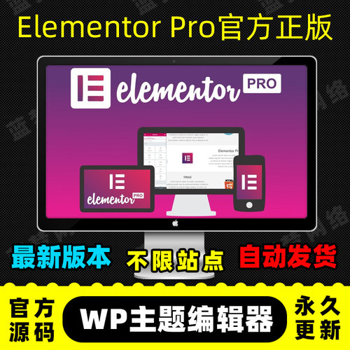 Elementor Pro插件 官方正版 WP编辑器 拖放式主题编辑器 高级版