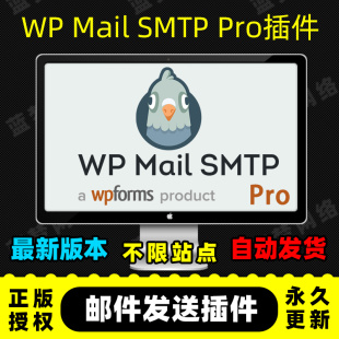 WP Mail SMTP Pro 邮件发送插件 wordpress 发件SMTP插件官方原版