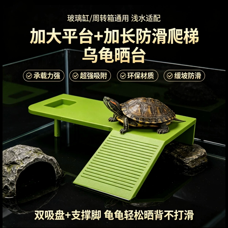 加大乌龟晒台喂食躲避晒背三合一图片