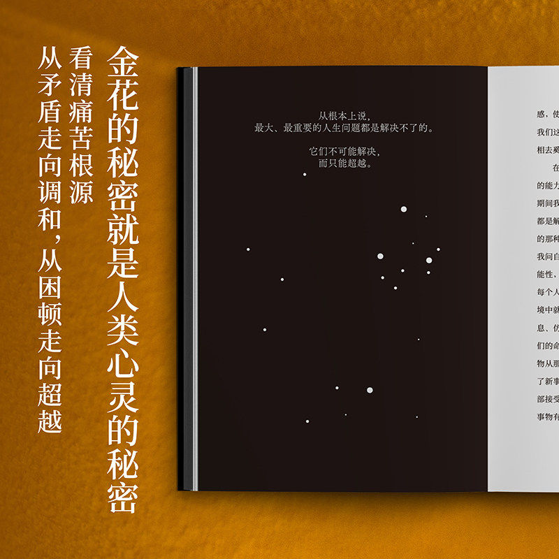 金花的秘密 中国的生命之书 荣格卫礼贤著 道家经典太乙金华宗旨长篇评述 心理学书籍 东西方思想深度碰撞 对抗精神内耗心理疗愈