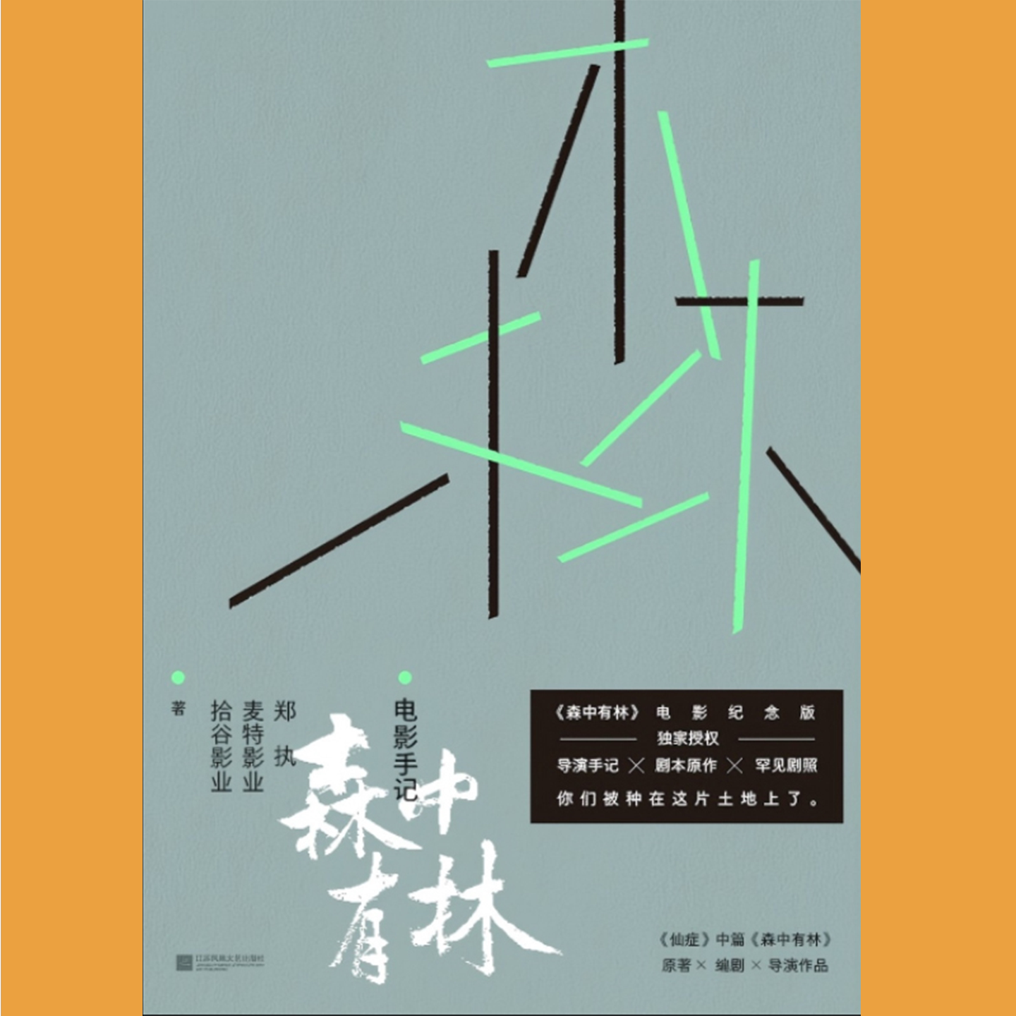 森中有林 电影手记 犯罪悬疑影视创作实录 记录影片幕后拍摄全流程 案件改编背景与人物塑造思路 跨越数十年的命运纠葛与人性挣扎