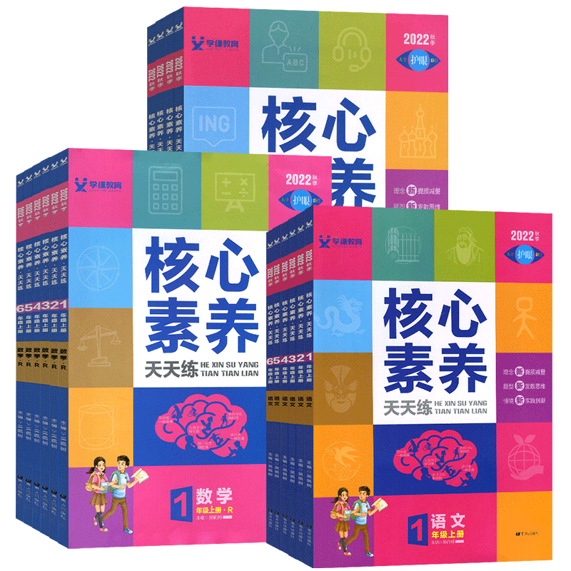 核心素养天天小学练习册