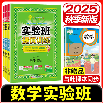 2025年秋新版数学实验班提优训练