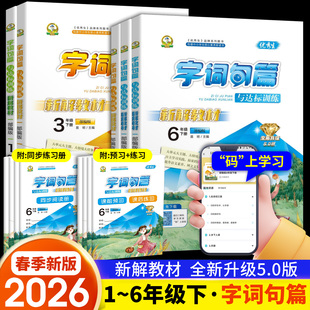 字词句篇与达标训练语文人教部编版2026春小学四五六年级下册一二三年级下册同步练习阅读讲解析一课练重难点专项训练预习课堂笔记