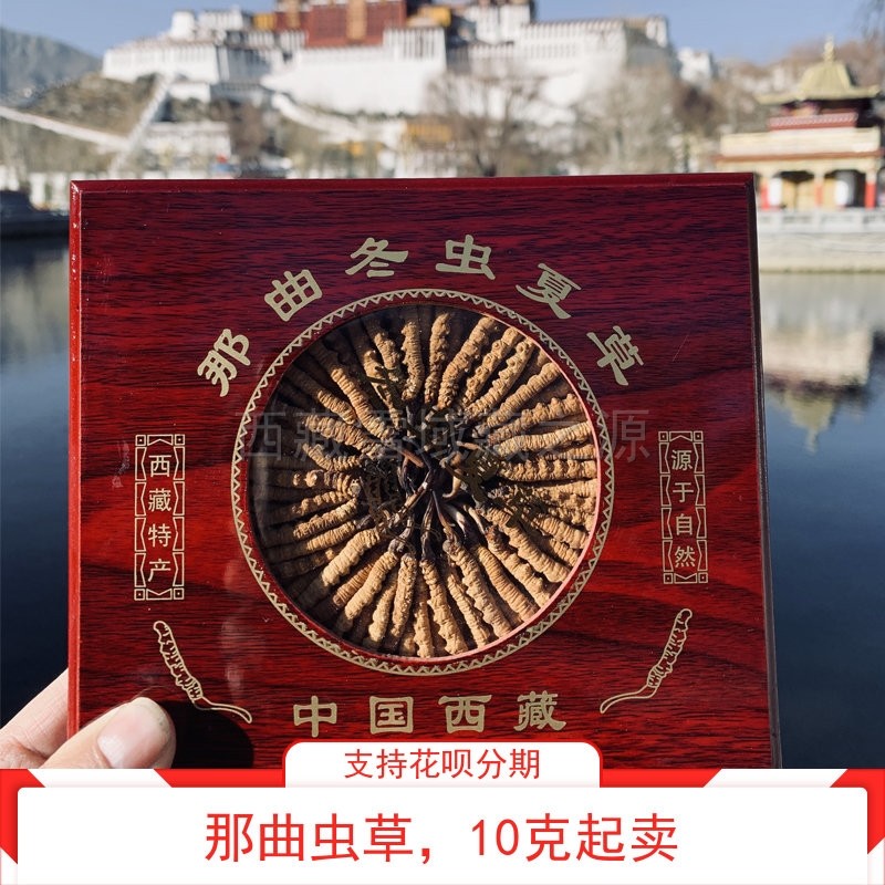 西藏虫草正宗那曲礼盒装野生虫草图片