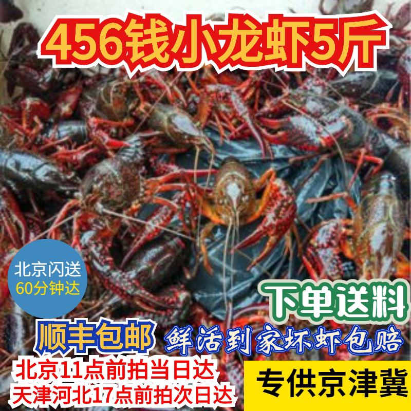免洗鲜活小龙虾456新鲜北京