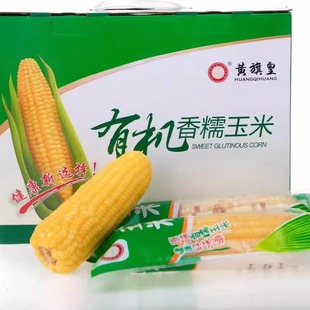 2024黄旗皇有机玉米8根礼装 五谷杂粮粗粮米杂粮代餐