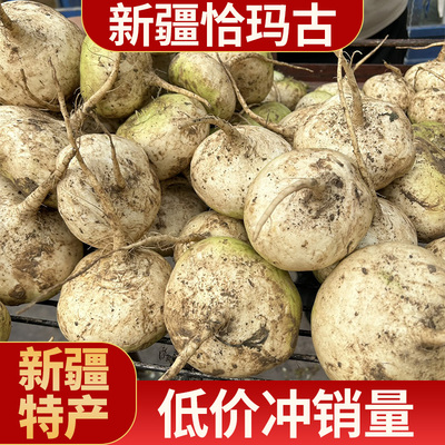 2025年正宗新疆恰玛古柯坪县芜菁蔓菁新鲜蔬菜调节碱性食物平衡