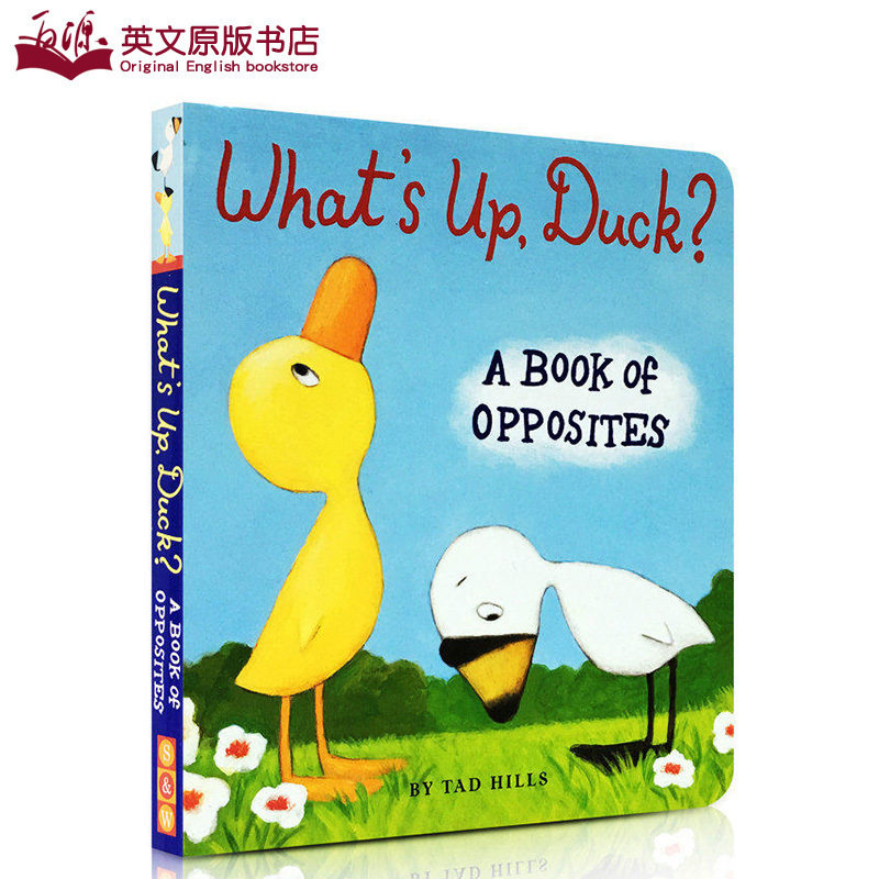 英文原版进口绘本whats up, duck发生什么事了,小鸭子幼儿英语启蒙
