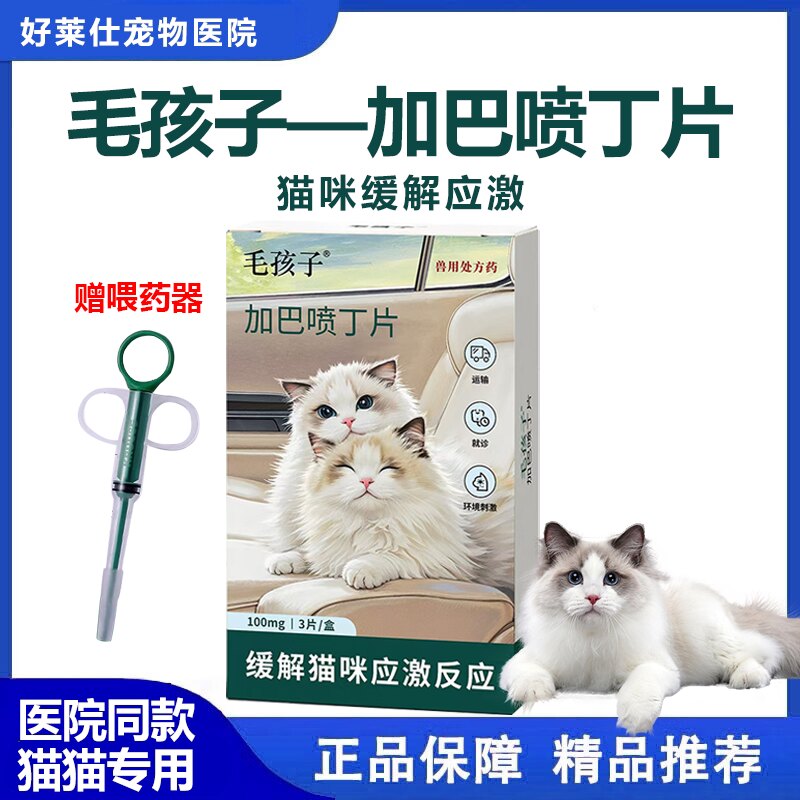 毛孩子猫咪应激情绪舒缓赠喂药器