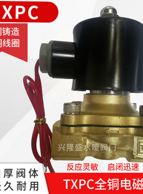天鑫TXPC全铜电磁阀水阀2W160-15 /200-20/2W250-25/400-40/4 6分