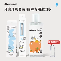 [Cat Special Brush Set]