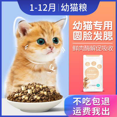 离乳期猫咪幼年期猫咪猫粮安心