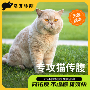 猫传腹干性湿性猫传染性腹膜炎发烧无力消腹水fipv传腹治疗药