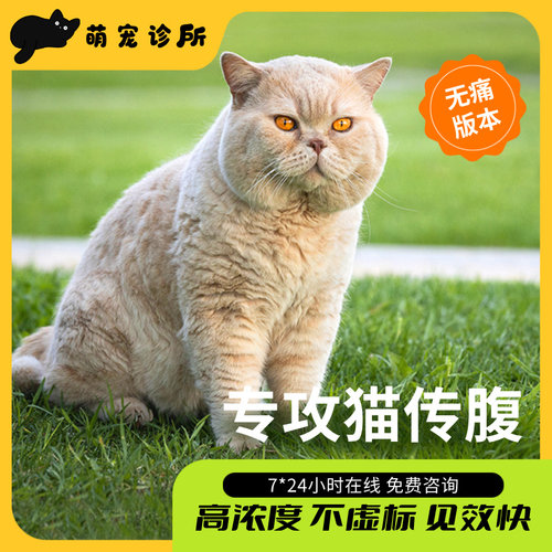 猫传腹针剂片剂腹水专用
