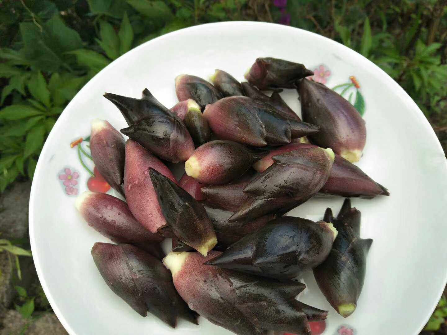 洋火姜,洋河姜,洋荷姜,陕南安康土特产洋河姜,山里采摘