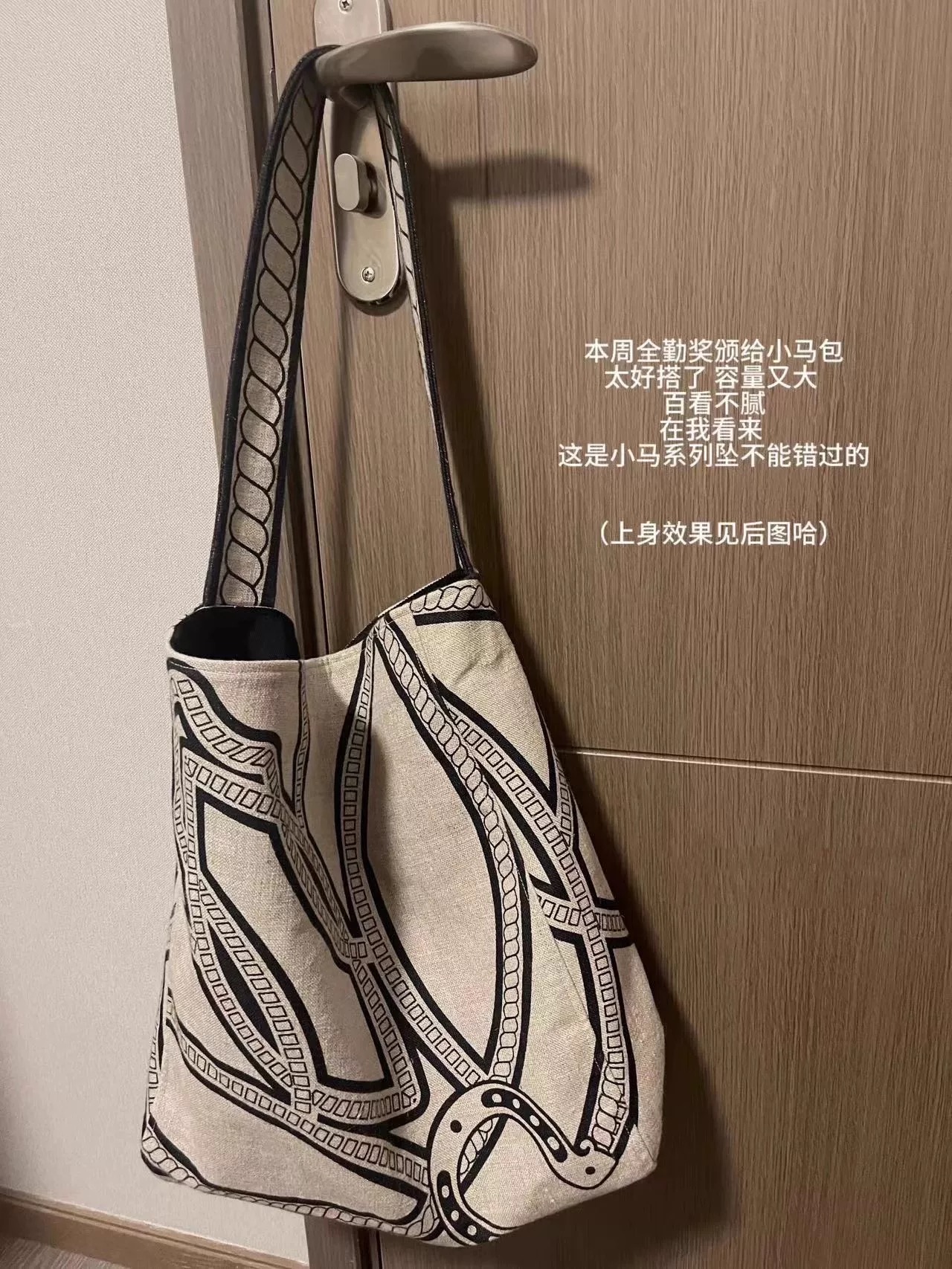 图腾设计感单肩包2025夏季时髦百搭亚麻印花复古托特包通勤帆布包