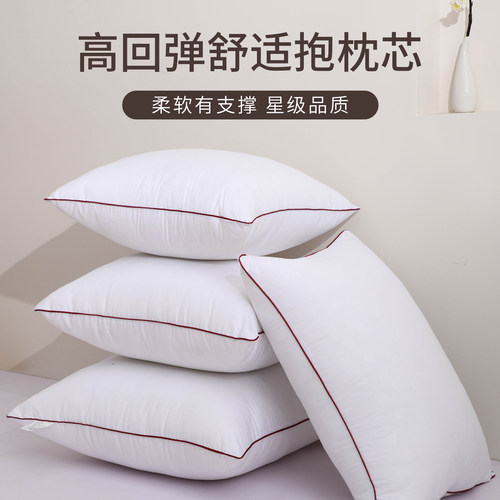 抱枕芯客厅沙发靠背芯靠垫芯长方形内胆芯正方形靠背芯床头靠背芯