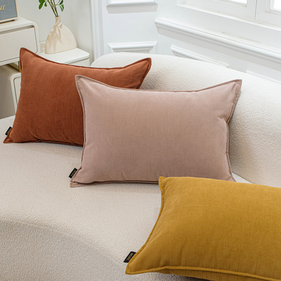 2025新款抱枕靠垫沙发客厅长方形高级感抱枕套不含芯靠枕大靠背垫