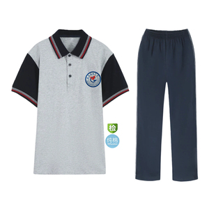 慈溪观城中学校服慈溪市高中生校服男女同款学校纯棉夏季短袖上衣