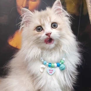 宠物猫咪项链配饰清爽透气狗狗项圈防走失铃铛猫咪脖圈不勒脖挂件