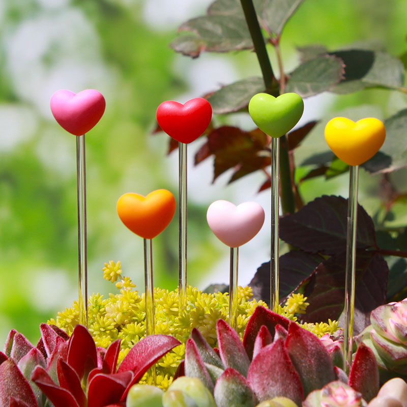 多肉绿植花盆可爱装饰小爱心插件