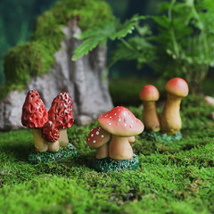 仿真红色黄小蘑菇多肉盆栽花盆小装饰摆件苔藓草坪微景观鱼缸造景