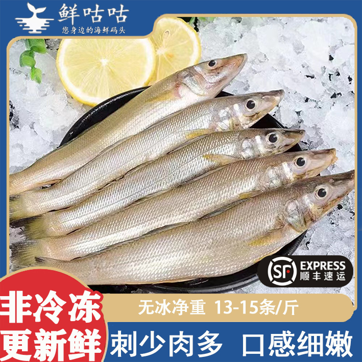 沙丁鱼冰鲜非冷冻宁波舟山海鲜